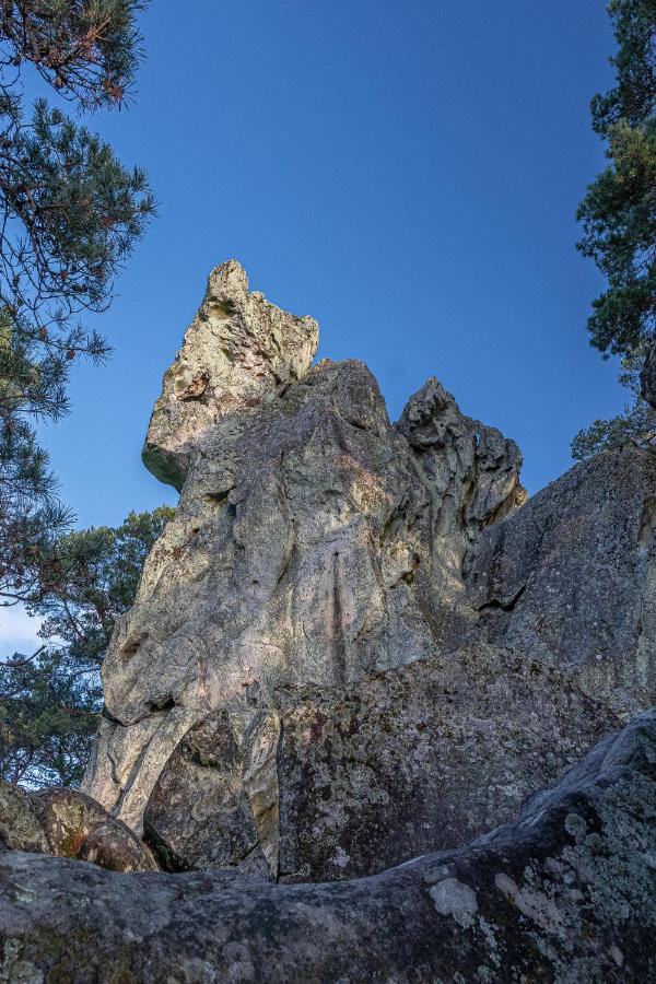 مبيت وإفطار Villiers-sous-Grez Logisfontainebleau المظهر الخارجي الصورة